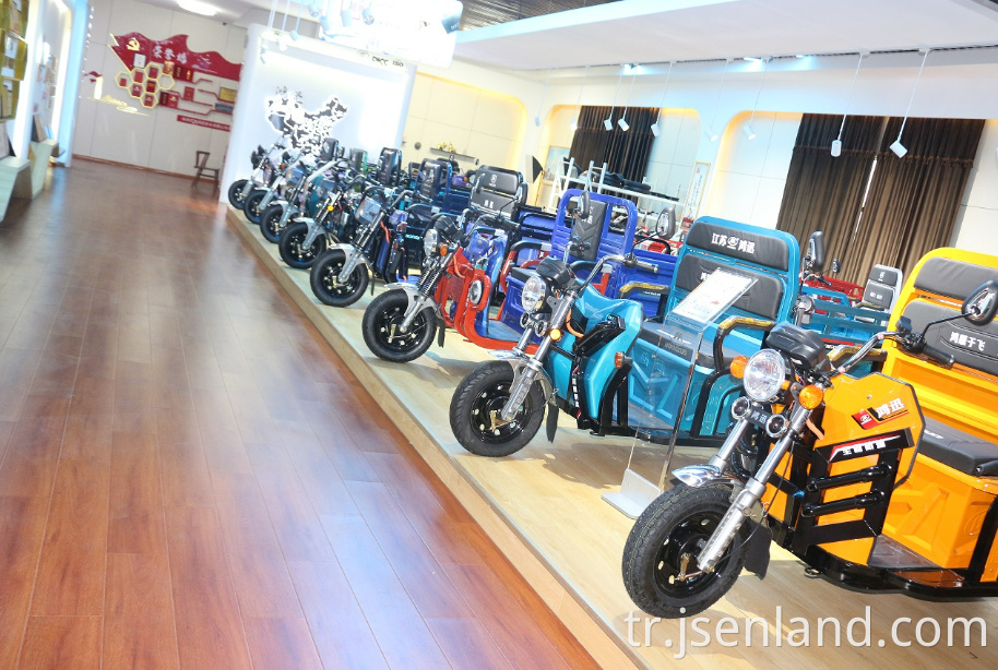 Satılık kargo üç tekerlekli bisiklet Cargo Tricycle for Sale